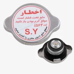 درب رادیاتور ریو IPNC