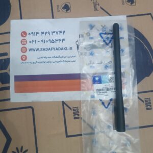 شاخه آنتن پژو پارس ایساکو
