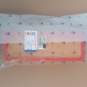 فیلتر هوا دانگ فنگ H30 ایساکو