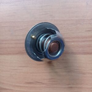 ترموستات ريو IPNC